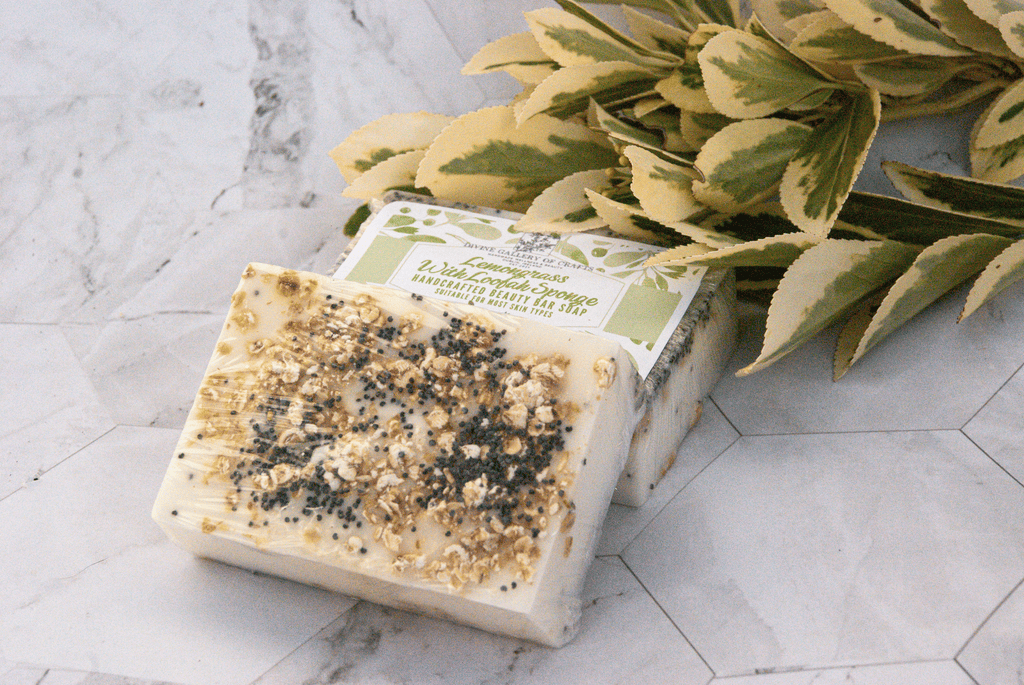 Solid Exfoliating Soap Bar With Loofah, Seeds & Oatmeal